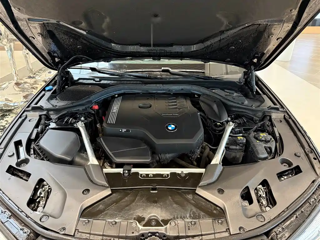 BMW 5 Series 5 2021 530Li Lead Luxury