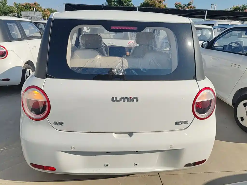 Qiyuan Lumin — миниатюра 6