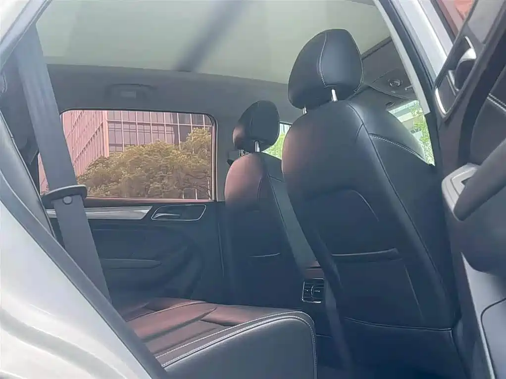 Roewe RX5 2018 20T AT Luxury