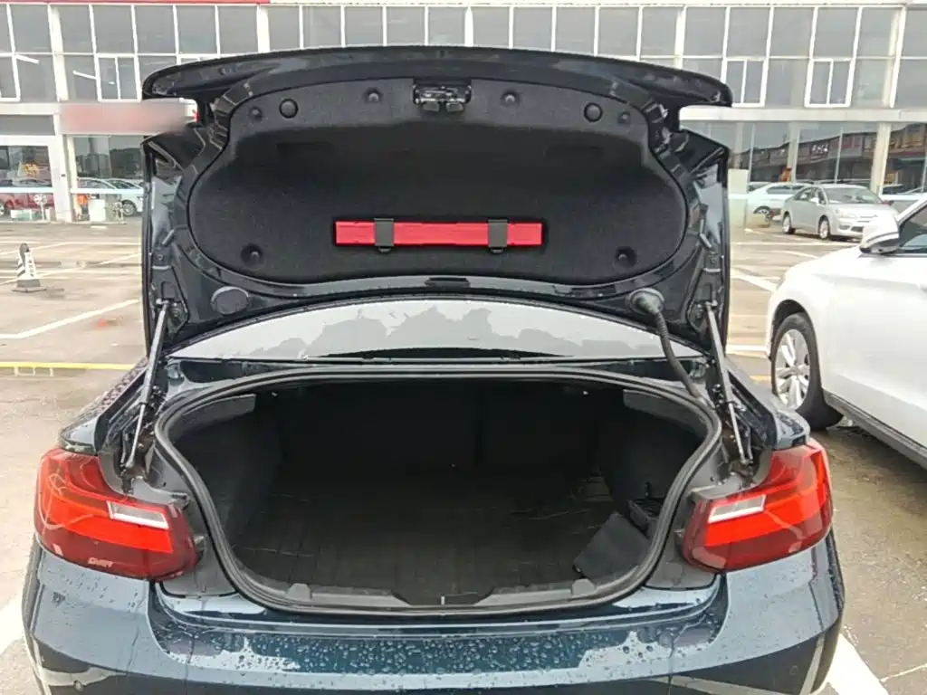 BMW 2 Series (Import) — миниатюра 19