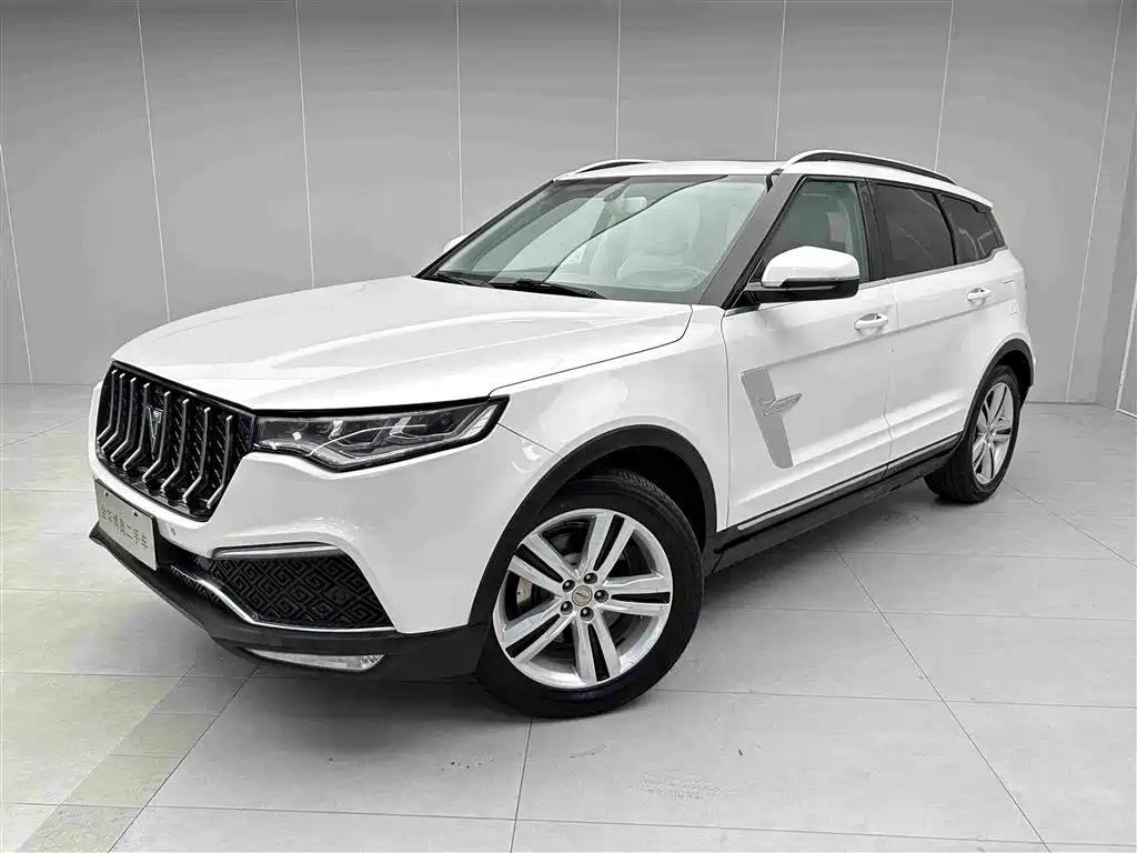 Zotye Zotye T700