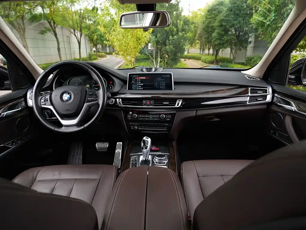 BMW X5 (Import) — миниатюра 6
