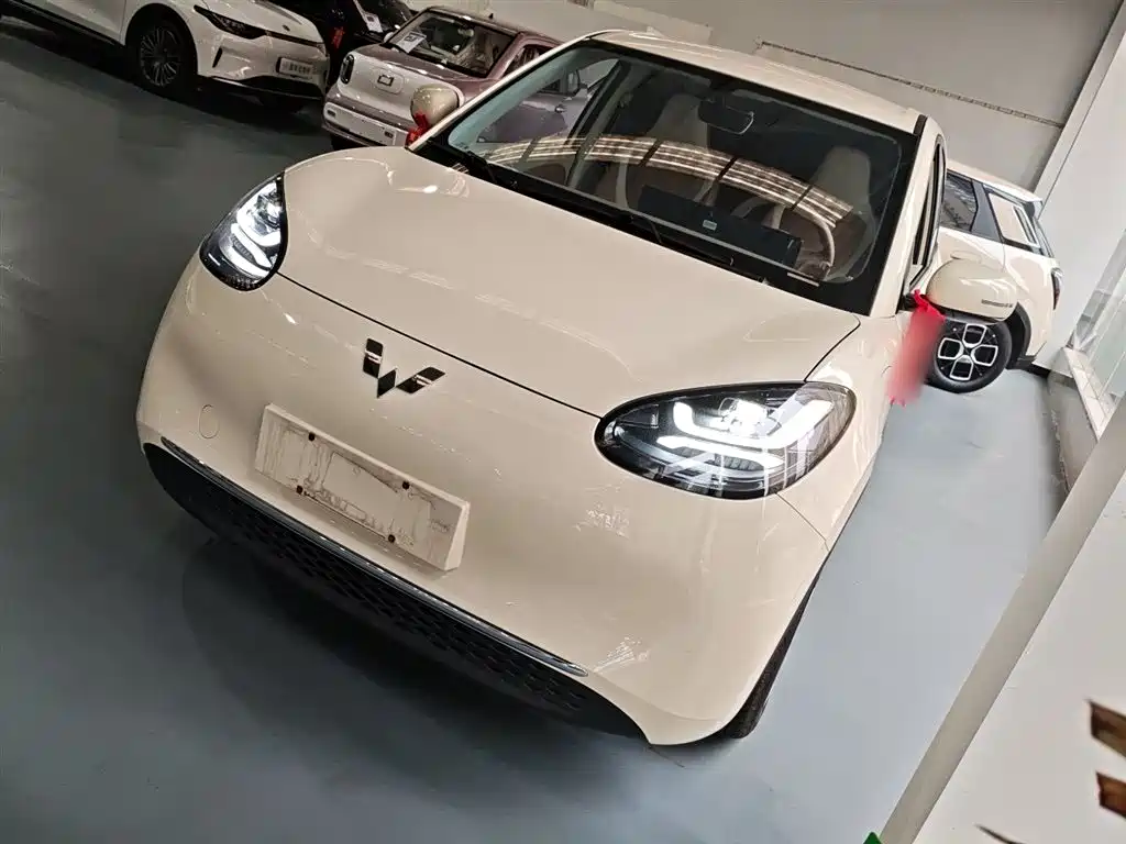 Wuling Bingo 2025
