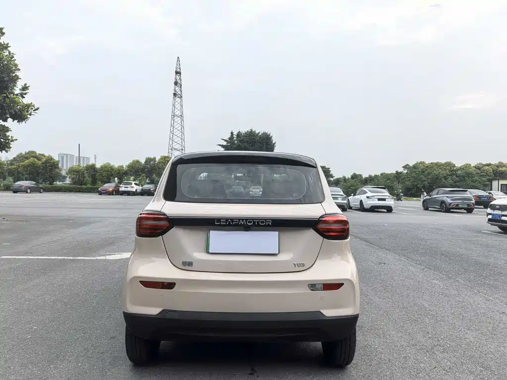 Leapmotor T03 2023 310