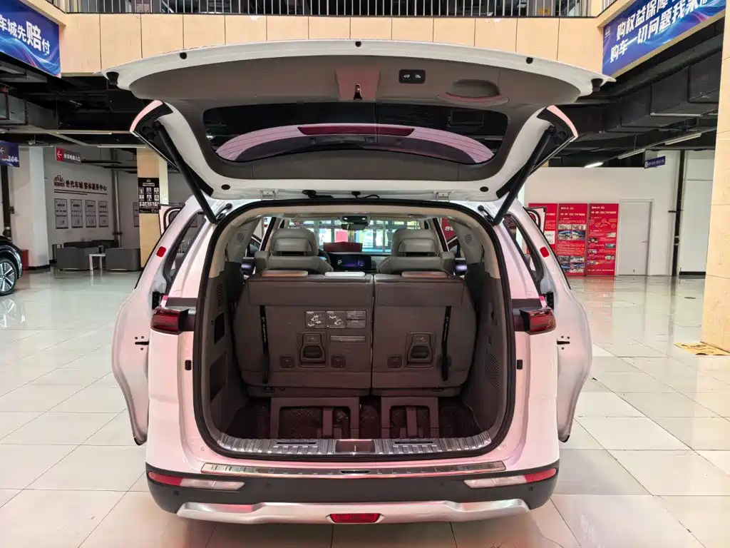 Kia Carnival — миниатюра 21