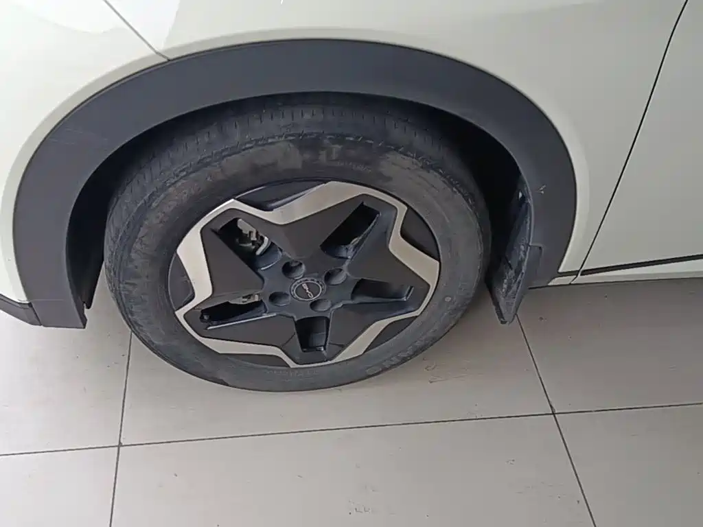 BYD Dolphin — миниатюра 23