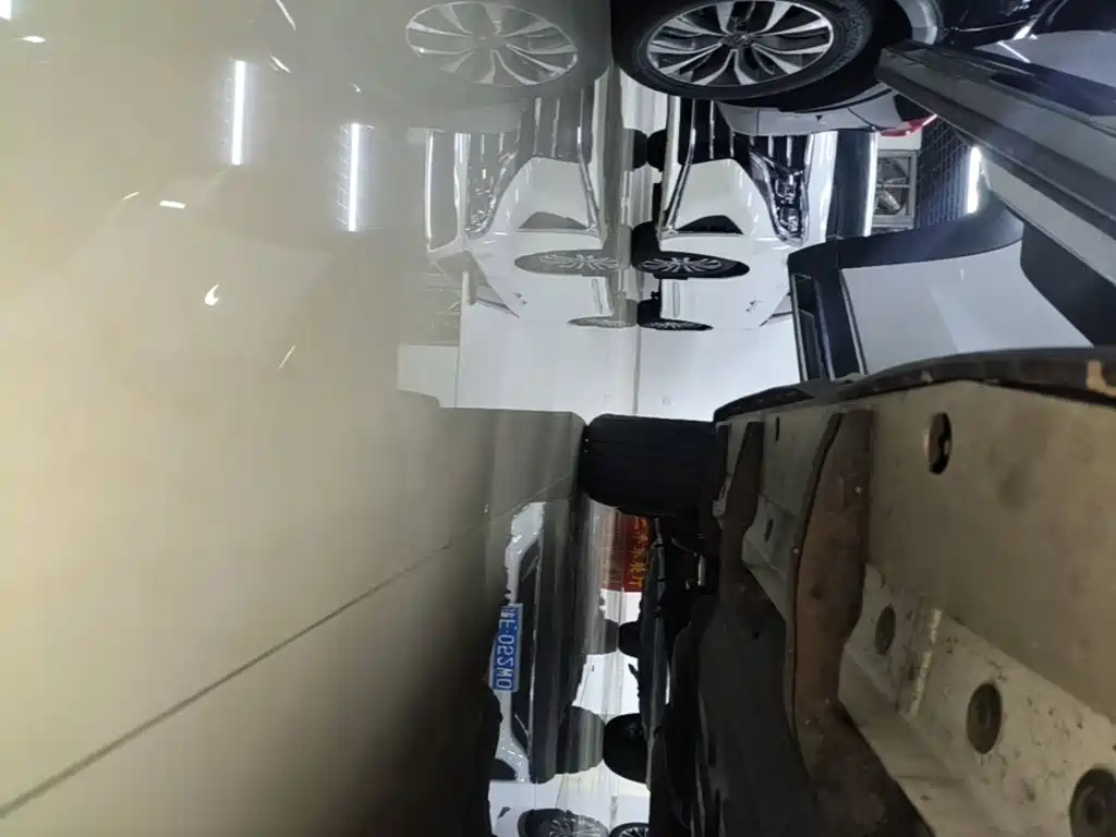 Haval 长城大狗 — миниатюра 21