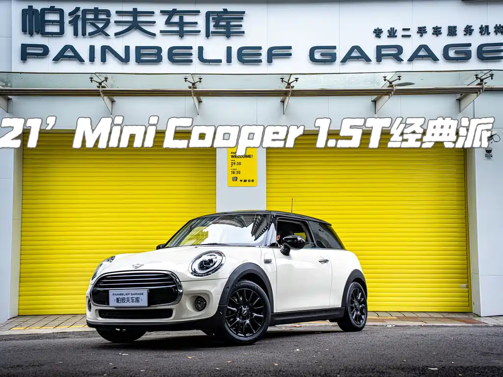 Mini Mini 2021