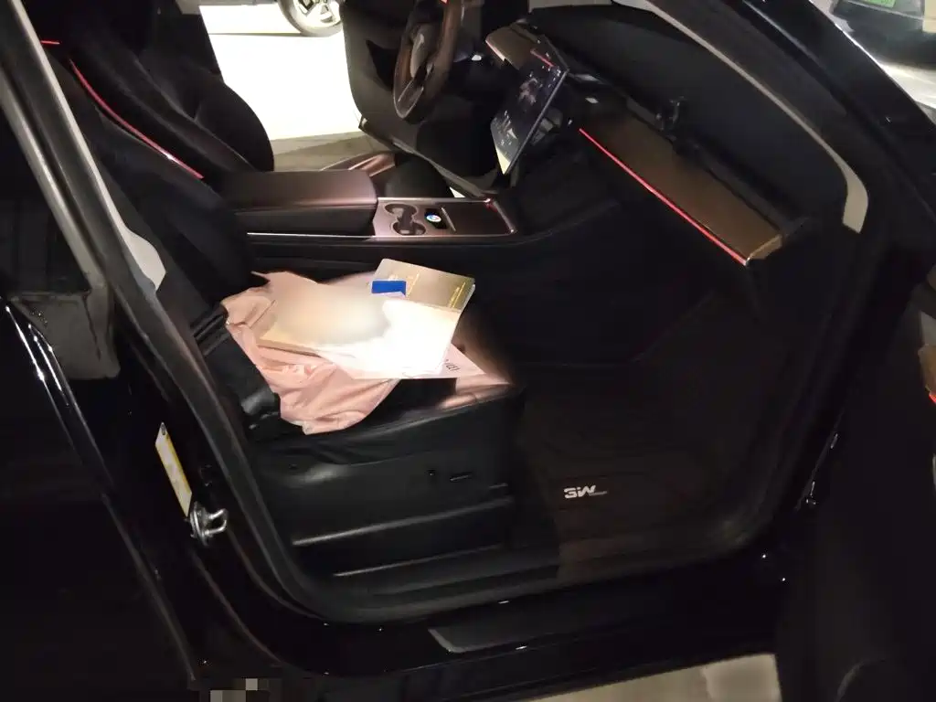 Tesla Model Y — миниатюра 19