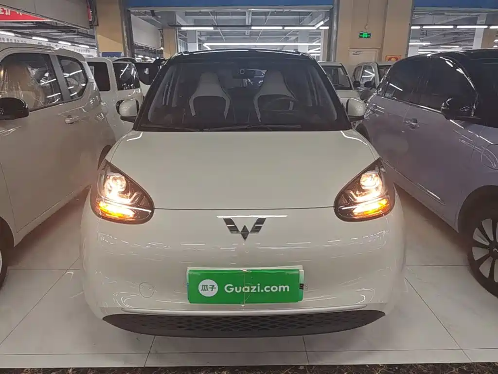 Wuling Binguo 2024 203km