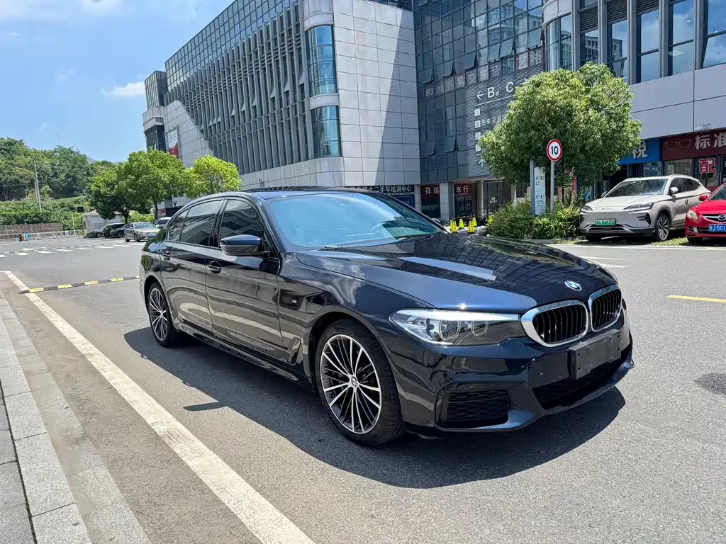 BMW 5 Series 5 2019 530Li Lead M Sport