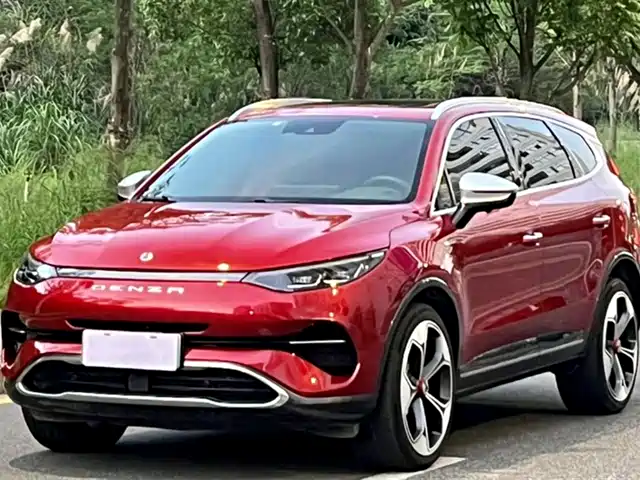 2020 Denza X