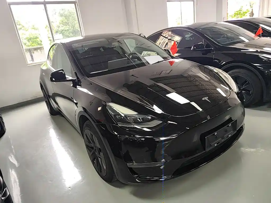 Tesla Model Y — миниатюра 4