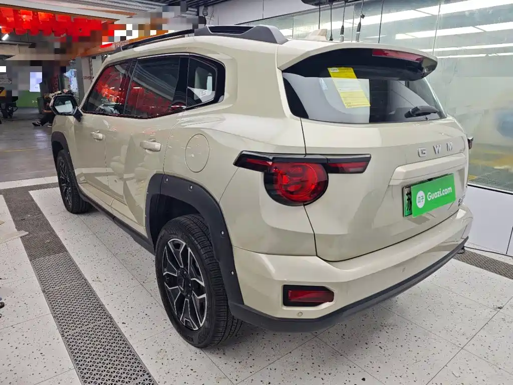 Haval Big Dog PLUS New Energy — миниатюра 5