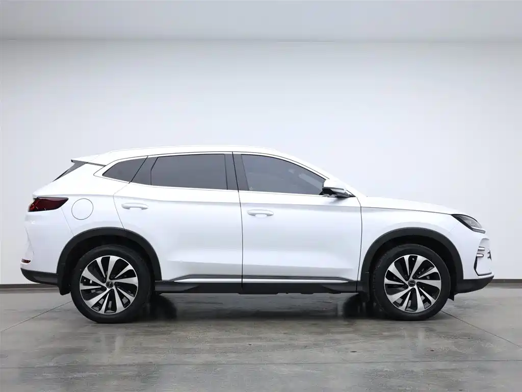 BYD SONGJIANG NEW ENERGY