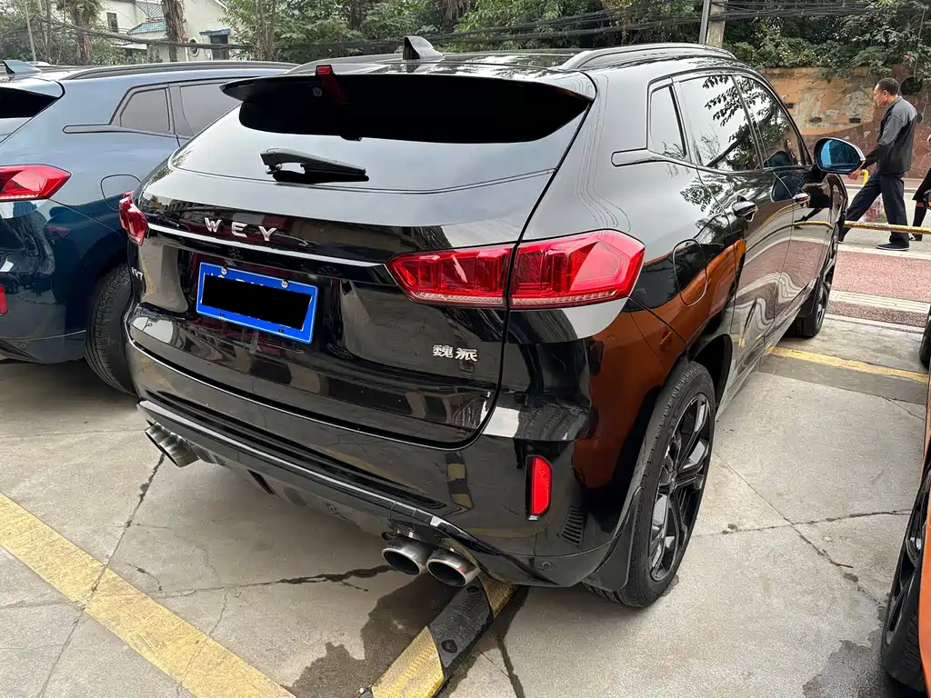 WEI PAI WEI BRAND VV7