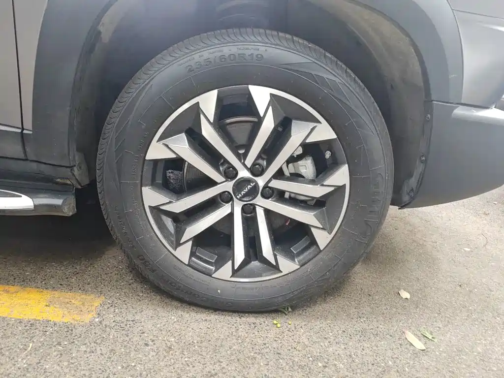 Haval 长城大狗 — миниатюра 8
