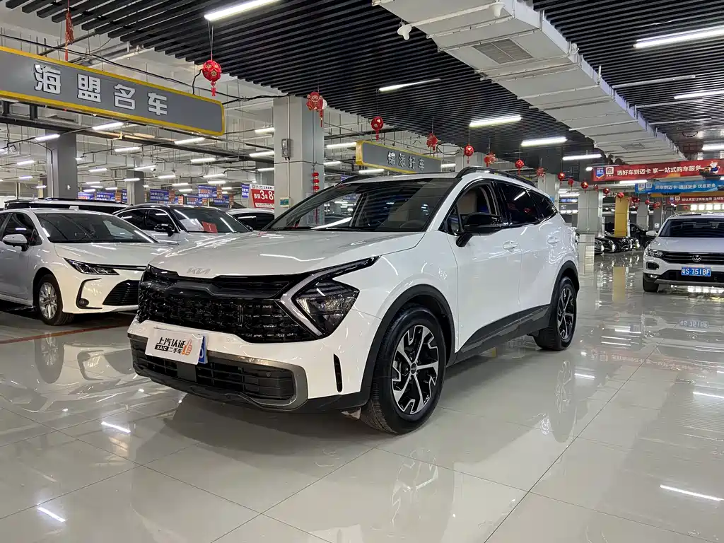 KIA LION PLATINUM EXPANDS THE WORLD