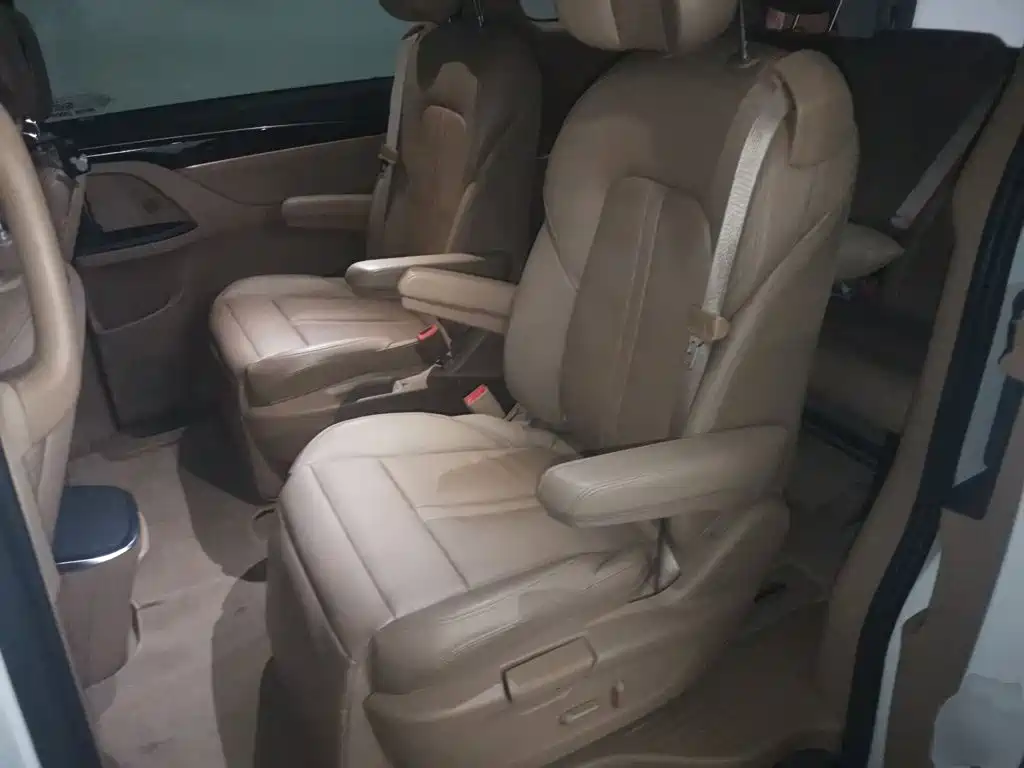 Buick GL8 — миниатюра 15