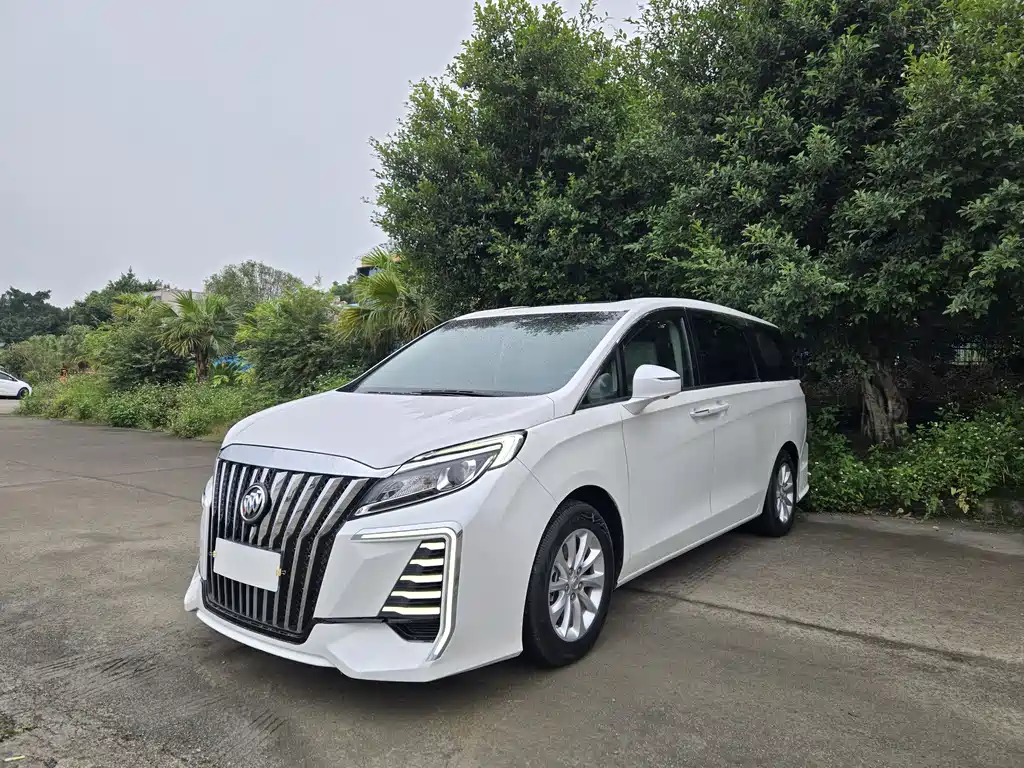 Buick GL8 2018 ES 28T Comfort VI