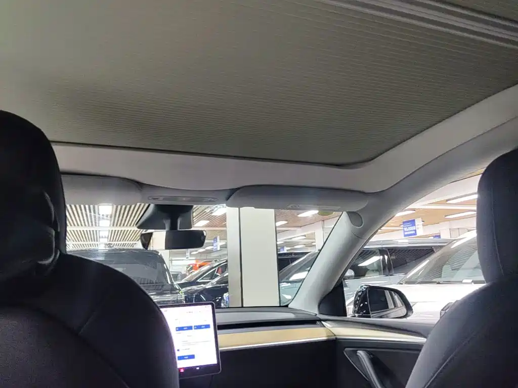 Tesla Model Y — миниатюра 18