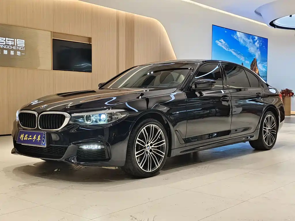 BMW 5 SERIES