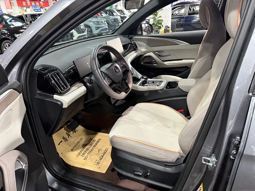 BYD Pro New Energy - фото 9
