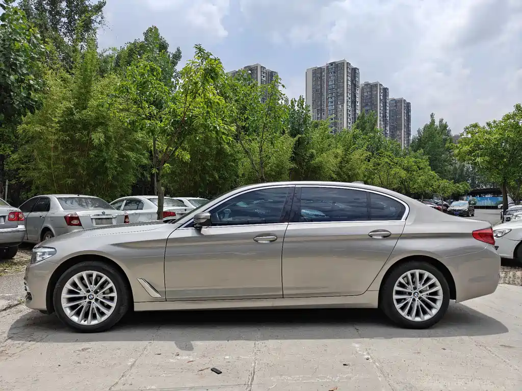 BMW 5 Series 5 2019 530Li Lead Luxury