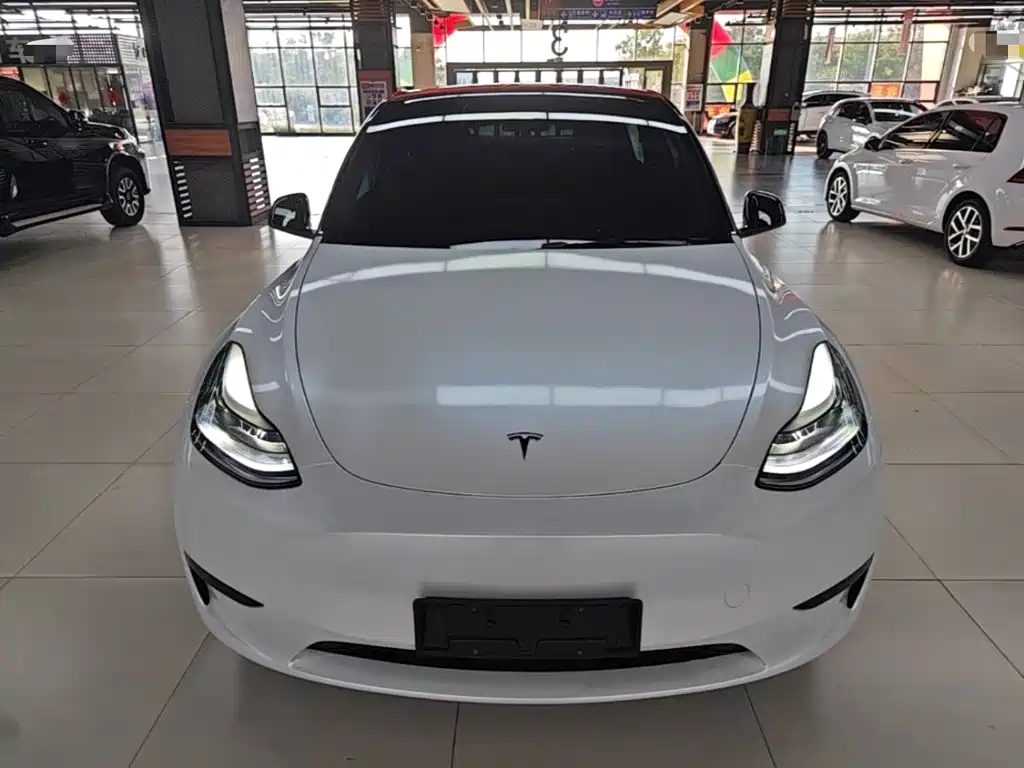 Tesla Model Y — миниатюра 3