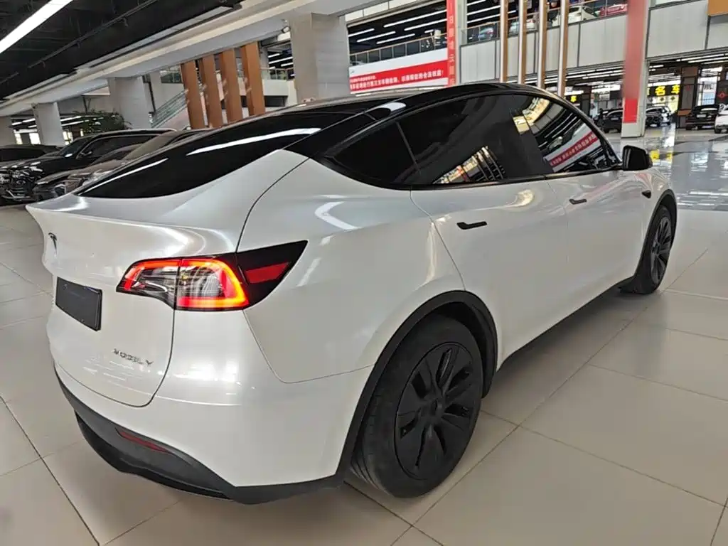 Tesla Model Y — миниатюра 7