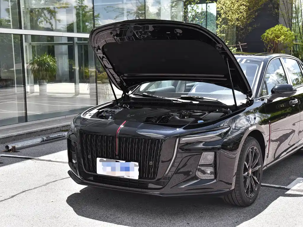 Hongqi Hongqi H5 — миниатюра 8