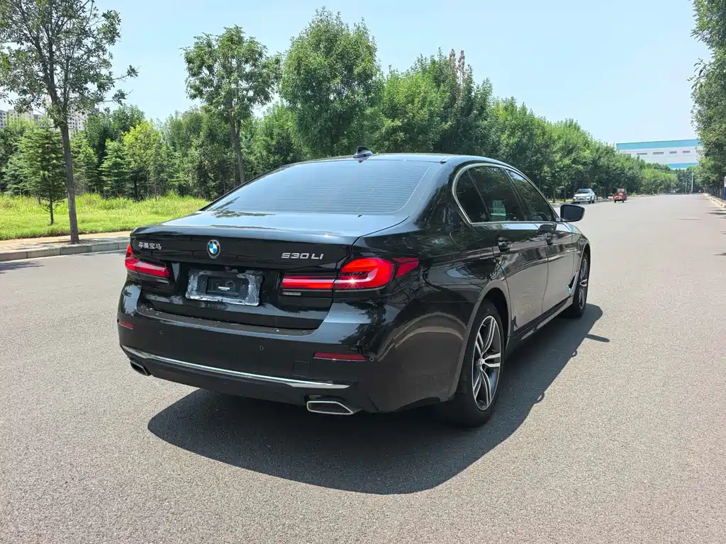 BMW 5 Series 5 2023 530Li Lead Luxury