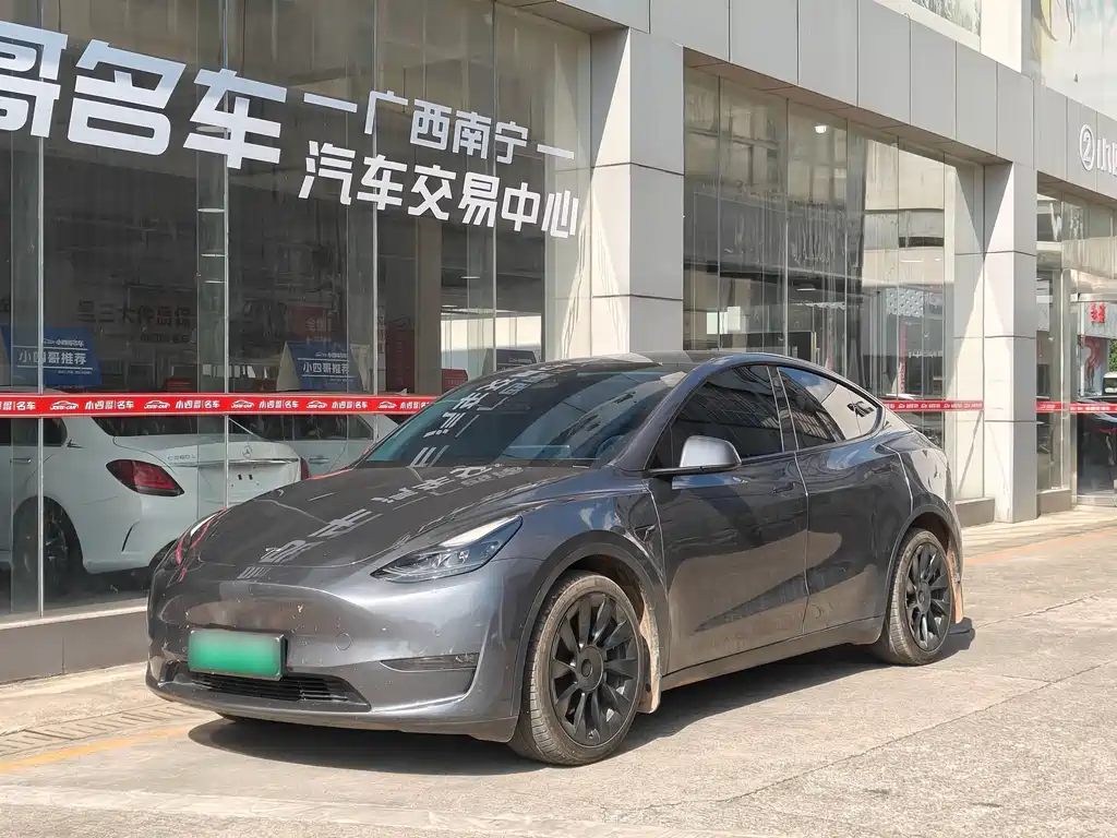 Tesla Model Y — миниатюра 6