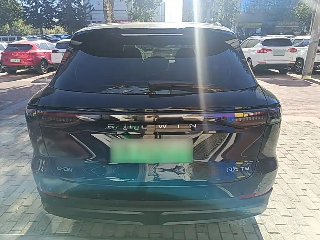 Fulwin Fengyun T9 — миниатюра 6