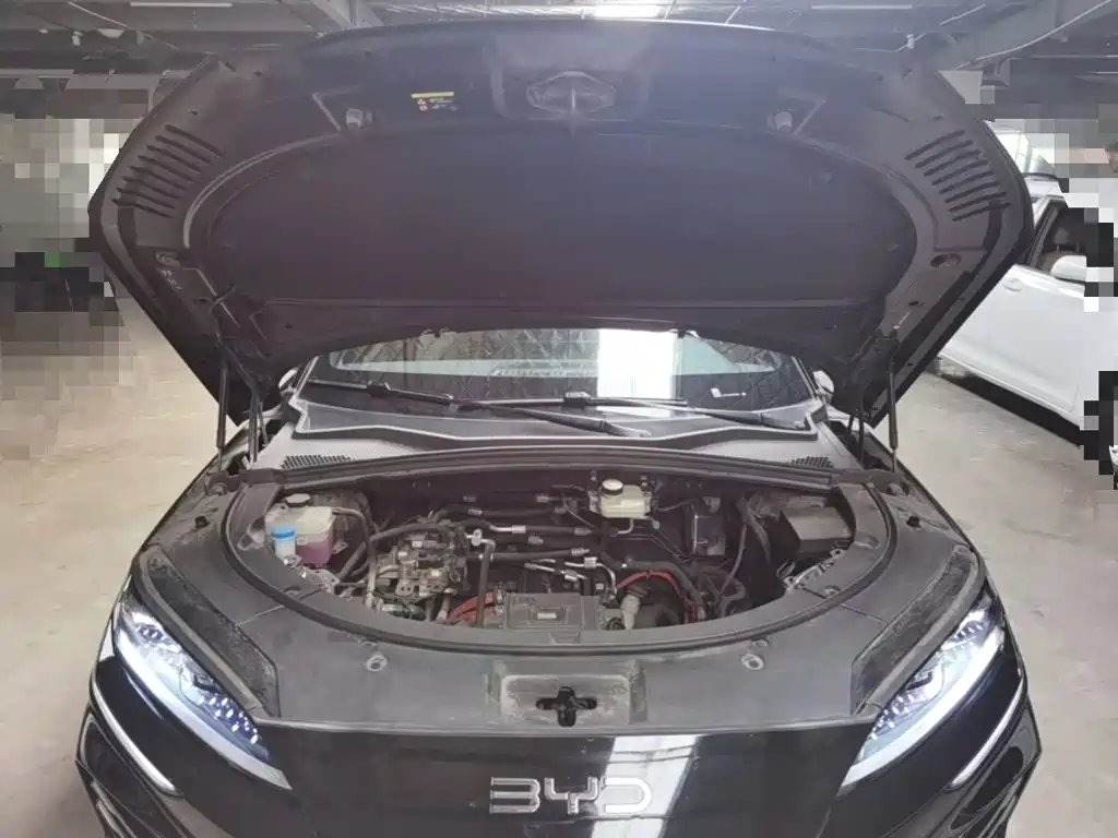 BYD PLUS New Energy — миниатюра 20