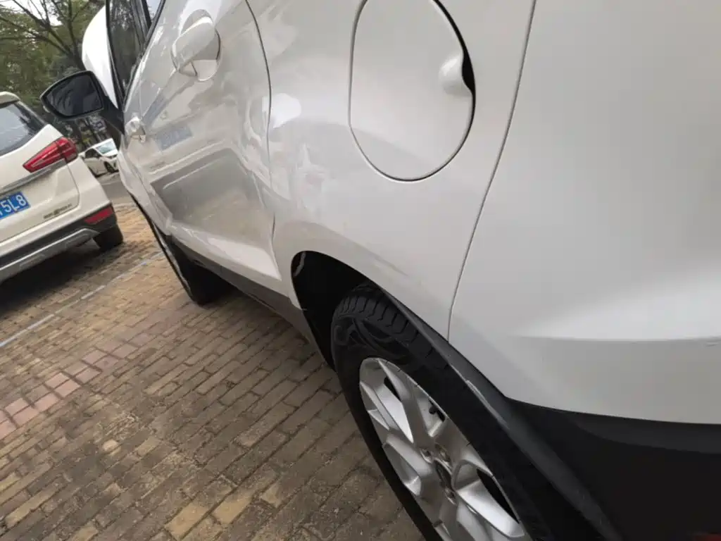 Ford Ecosport — миниатюра 22