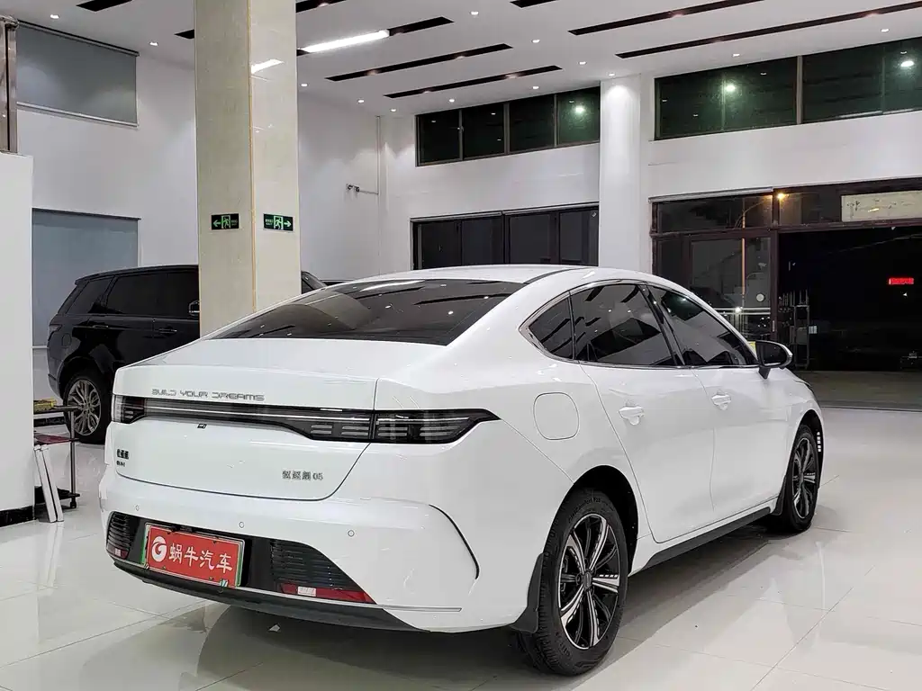 BYD Destroyer 05 — миниатюра 11
