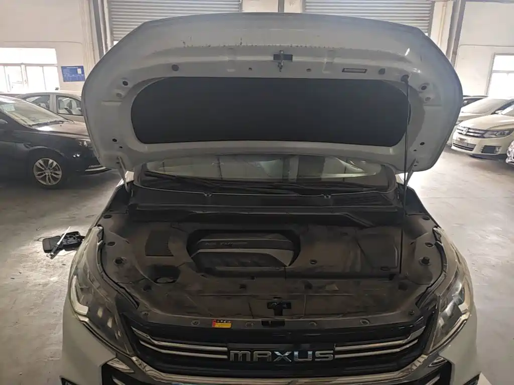 MAXUS G50 — миниатюра 20