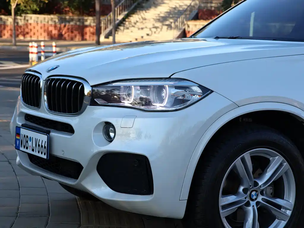 BMW X5 (Import) — миниатюра 2