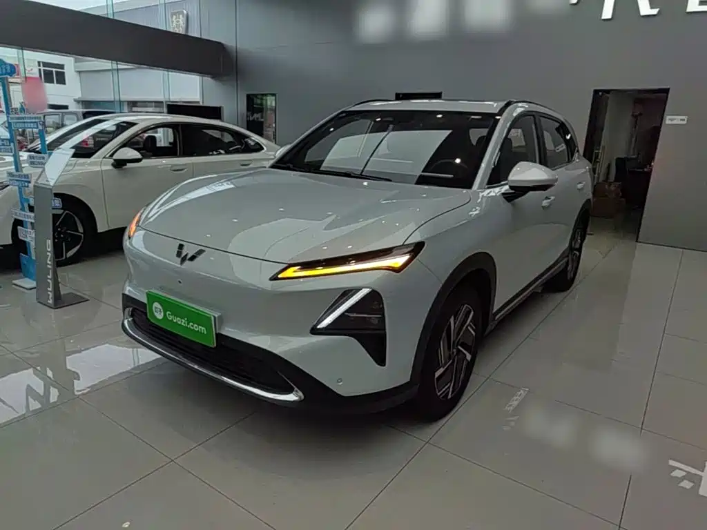 Wuling S 2024 130km Flagship