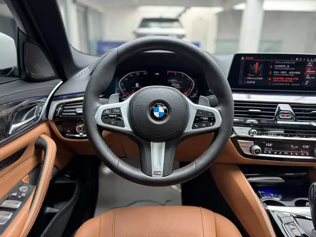 BMW 5 Series 5 2020 530Li Premium M Sport