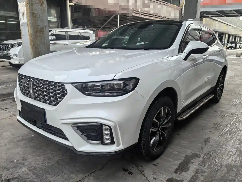 WEI PAI WEI BRAND VV5