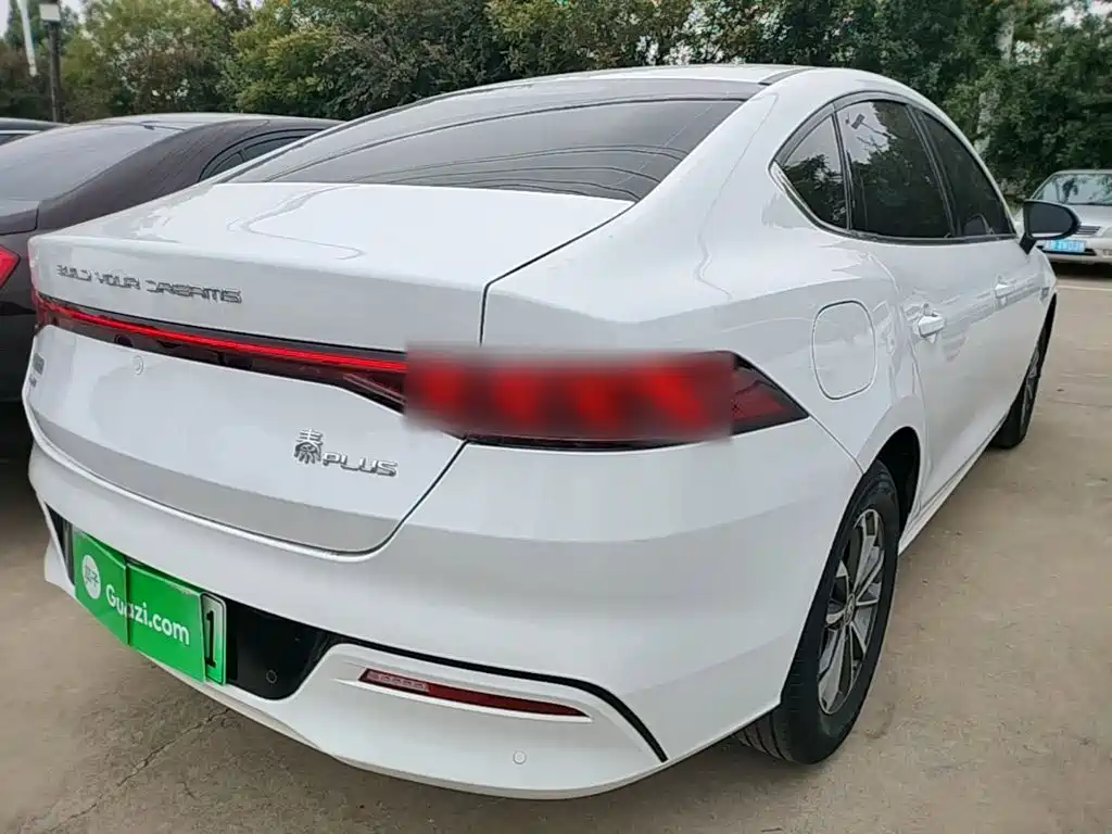 BYD Qin Plus PLUS 2024 DM-i 55KM Lead
