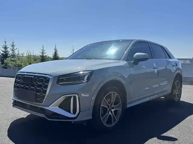Audi Q2L