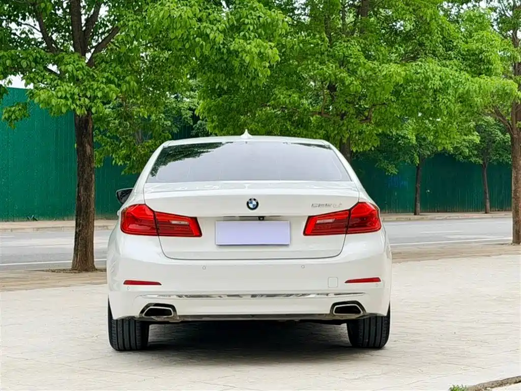 BMW 5 Series 5 2019 525Li Luxury