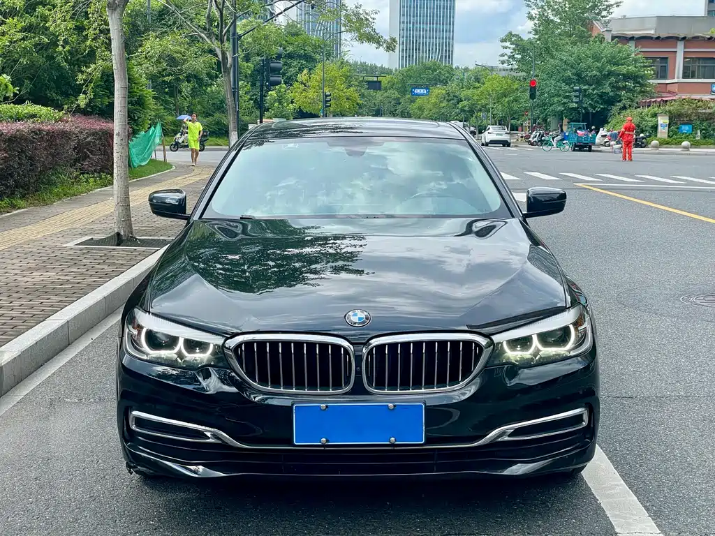 BMW 5 Series 5 2019 530Li Lead Luxury