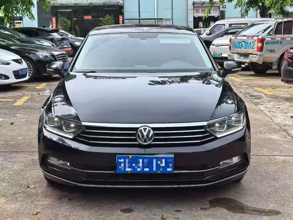 Volkswagen Magotan 2019 330TSI DSG Luxury VI