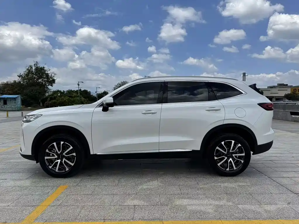 Haval H6 — миниатюра 4