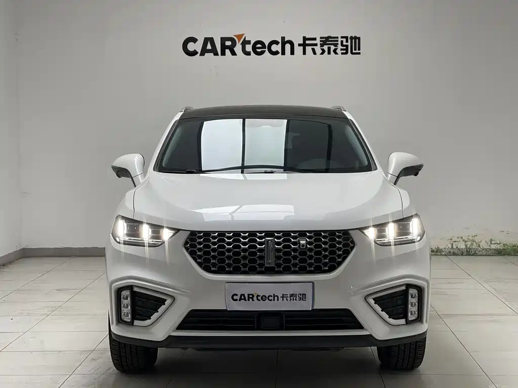 WEI PAI WEI BRAND VV5