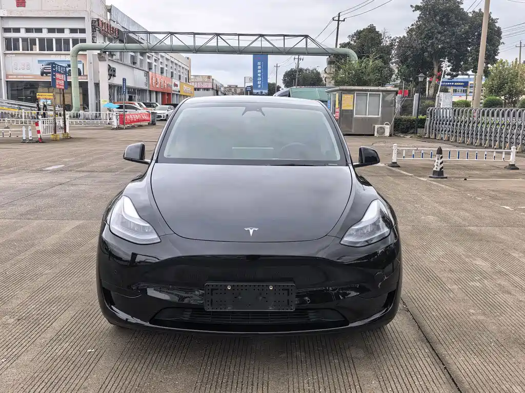 Tesla Model Y — миниатюра 2